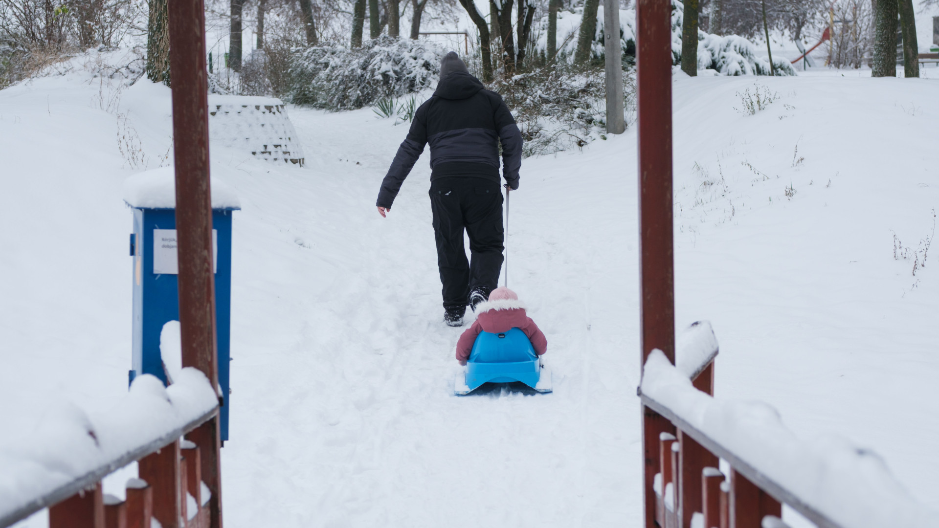 Rég nem látott roham indult a szánkókért – Van, aki hatalmas bizniszt lát a havazásban
