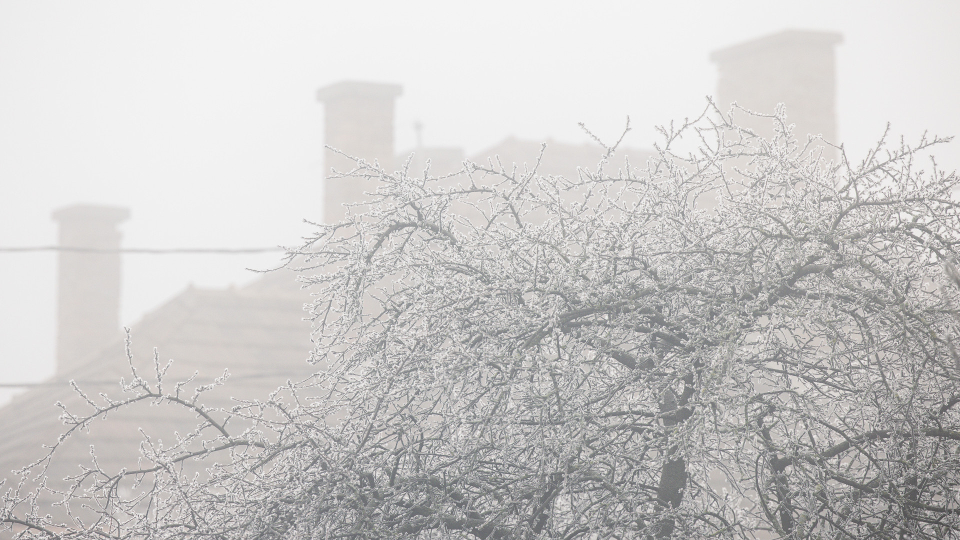 A Tiszán teljes hajózási zárlat lépett életbe