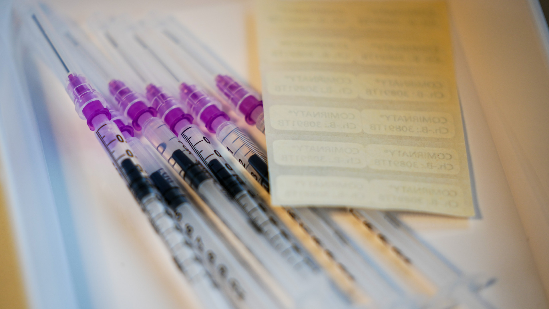 Escort trans sesto san giovanni