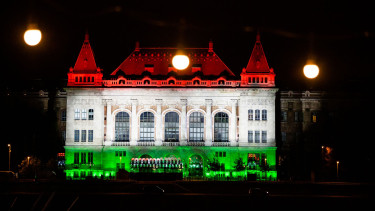 Hangyasavban tárolnák a jövő energiáját - Magyar kutatók világraszóló megoldást találtak