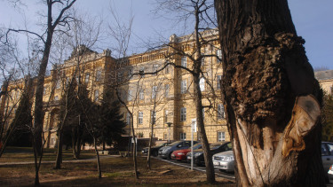 Váratlan javaslat: az elhagyatott elmegyógyintézet lehetne a Józsefváros alternatívája a Pázmány kampuszának