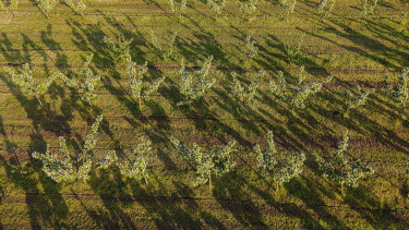 20220430_birs_dron_1001