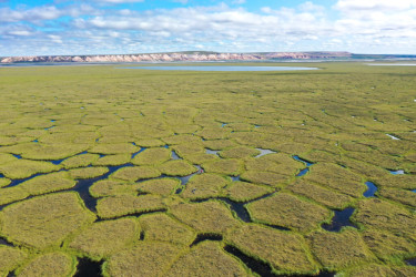 2_abra_poligonális_tundra