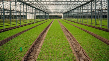 7a1af507-790b-480c-90e7-00791c2f002f