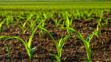 90f8f77b-1dd3-42e2-a616-a998f70103e9