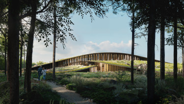 Cannes-i seregszemlén mutatják meg magukat a magyar ingatlanfejlesztők