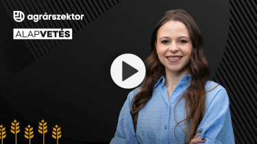 Egyre több magyar szenved evés után: kiderült, mi áll valójában a tünetek mögött