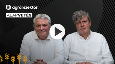 Meddig vásárolhatnak még olcsón a magyarok? Itt már a túlélés a tét