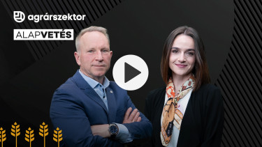 Most dől el a magyar bor jövője – A fiatalok kezében lehet az ütőkártya?