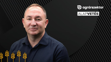 Van közös nevező az állatvédőkkel? A szigorításból is lehet biznisz