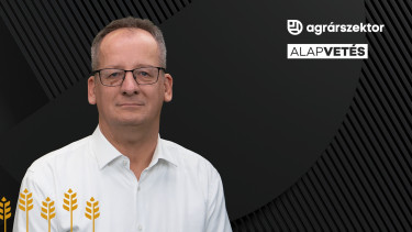 Az Alföldön minden növény veszteséges volt – Vége az ország éléskamrájának? 