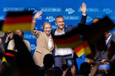 alice weidel afd