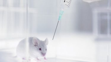 Borzalmas szokásnak vethet véget a mesterséges intelligencia