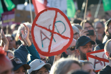 Alternatíva Németországnak (AfD) tüntetés berlin szélsőjobboldal