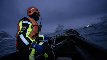 Nulla lakos, több tízmillió pingvin – és százmilliárd dolláros kockázat: ezért kezdhet félni a világgazdaság