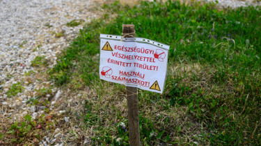 Kellemetlen hír érkezett az azbesztszennyezésről: egyre több helyről érkeznek a jelentések