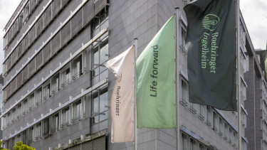 Itt a legújabb súlycsökkentő csodaszer - Ígéretesek az eredmények!