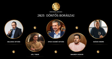 Boraszok Borasza Top 5 Banner