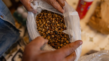 Vámháború: Trump visszakozott, de így is brutális a vám a brazil kávén