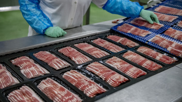 A zsírégetőtől az automatizációig – így épít előnyt a Tamási Hús a hazai húsiparban