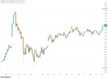 BRN1!_2026-03-18_14-03-13