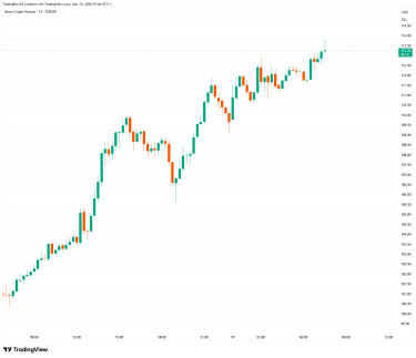BRN1!_2026-03-19_07-46-18