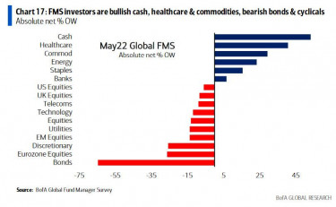 bullish cash