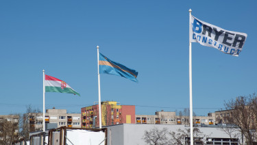 Bayer Construct: negyedével esett az árbevétel, bezuhant a profit az első  félévben