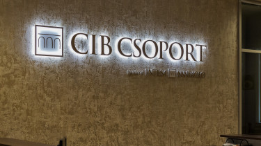 CIB 9