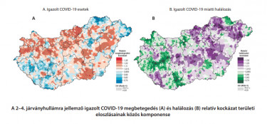 covidhalál