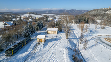 Rendkívüli intézkedésekről döntött a MÁV