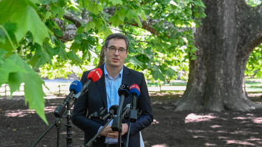 Még mindig évi 900 millió forint folyik át a fővároson keresztül a parkfenntartási bizniszhez