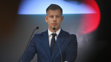 Magyar Péter: A legnehezebb két nap következik, váltsanak otthoni munkavégzésre, ahol csak lehet