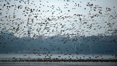 Újabb magyar tavat fenyeget a kiszáradás: figyelmeztetnek a szakértők, esőért imádkoznak a helyiek