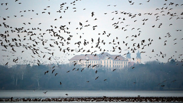 Megjött a jégjelentés a magyarok egyik kedvenc taváról