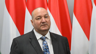 Lemondott Németh Szilárd a Magyar Birkózók Szövetségének elnöki posztjáról