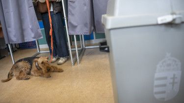 Török Gábor is megszólalt a brutális részvételi aránnyal kapcsolatban