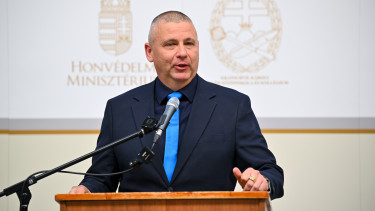 Kifakadt Ruszin-Szendi Romulusz: 