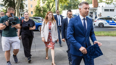 Hamarosan régiós kormányfőkkel beszélget Magyar Péter