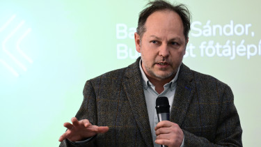 2035-re 40 ezer budapesti fa fog veszélyessé válni, és nincs pénz lecserélni őket