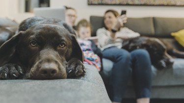 Magyarok millióinak a lakásügyébe nyúlt bele a kormány, tömegek mozdulnak meg heteken belül