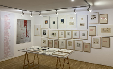 Drozdik Orsi Győr 2026