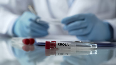 Tovább szedi áldozatait a kongói ebolajárvány