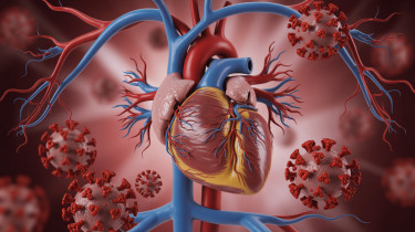 Riasztó hatásait igazolták a Covidnak: rendkívül súlyos rendellenességekhez vezethet a vírus