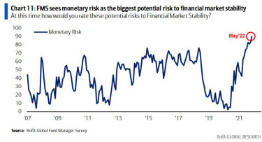 FMS monetary risk