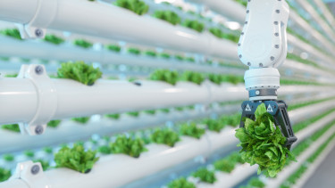 Most vagy soha? Pályázati dömping közepén az agrofood szektor 