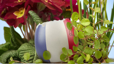 Olyan történik a franciáknál, amire minden magyar irigykedne