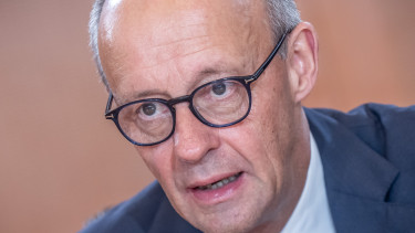 friedrich merz
