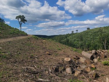 Geresdi-dombság_Tolna_2026_(02)_Fotó_Gálhidy László_WWF_Magyarország