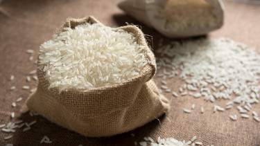 Új kutatás jelent meg az egyik legfontosabb alapélelmiszerről